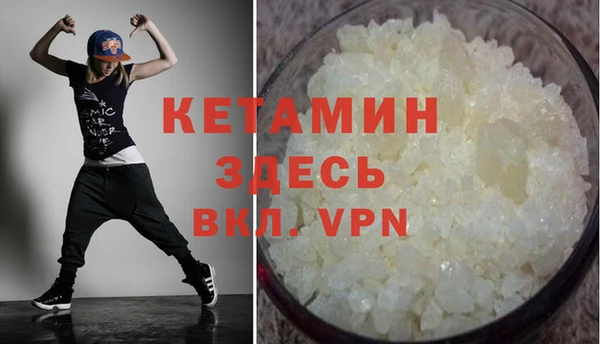 прущие грибы Тайга
