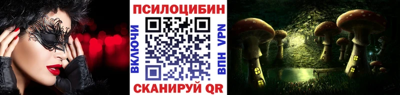 Галлюциногенные грибы Psilocybine cubensis  Кимры 